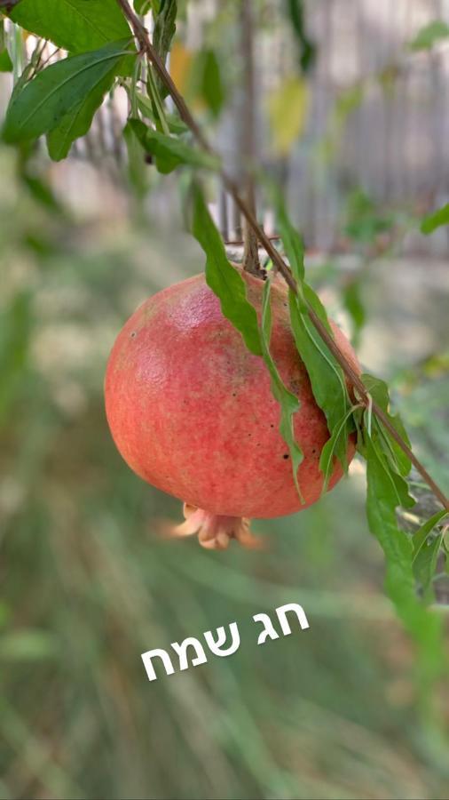 Habait Ba Shomera Exteriér fotografie